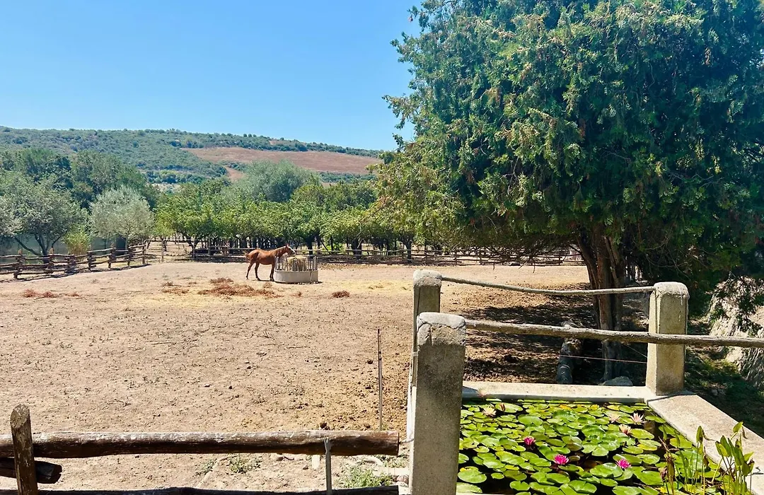 Agriturismo Silis-1